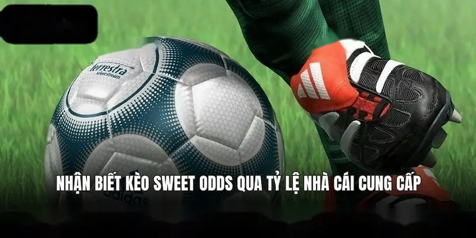 5 Chiến Lược Cá Cược Đua Ngựa 8xbet Kiếm Tiền Thực Sự | 8xbet bóng đá | vaosc88 bóng đá