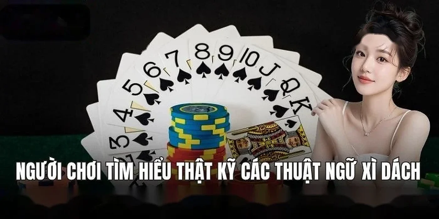 Game xì dách 8xbet – Chơi game hôm nay, nhận thưởng liền tay | 8xbet xóc đĩa | vaosc88 xóc đĩa