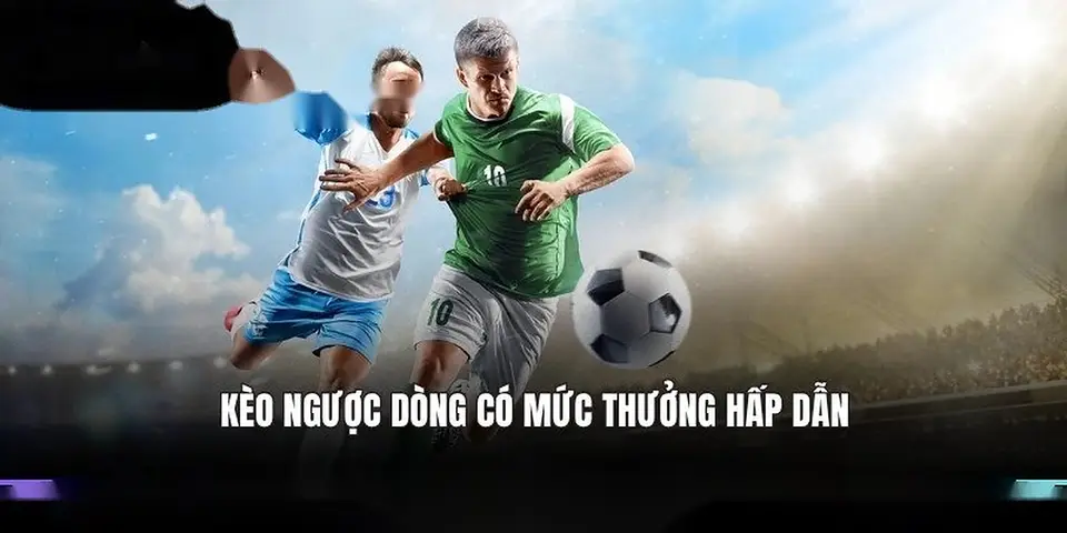 Hướng Dẫn Từng Bước Cách Hoàn Thành KYC Verification 8xbet | 8xbet bóng đá | vaosc88 bóng đá