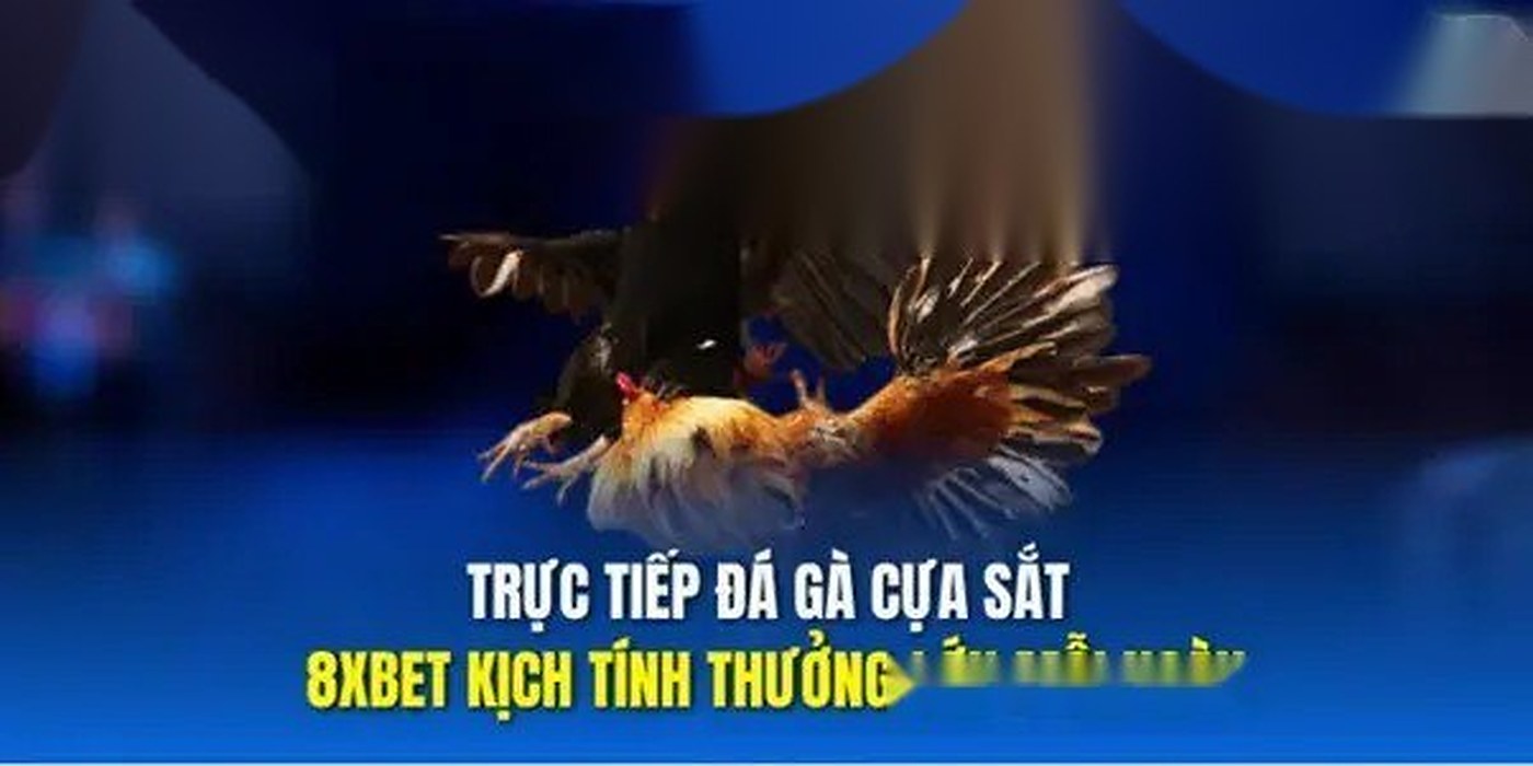 8XBET Trực Tiếp Đá Gà Thomo – 3 Loại Hình Nhất Định Phải Thử | 8xbet wala | vaosc88 wala
