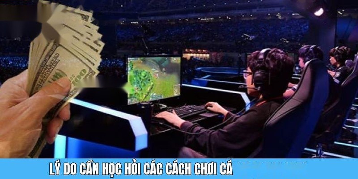 8xbet bóng đá – Top 5 Tuyển Thủ Esports Nổi Bật Được 8XBET Lộ | vaosc88 bóng đá Top 5 Tuyển Thủ Esports Nổi Bật Được 8XBET Lộ Diện | 8xbet bóng đá | vaosc88 bóng đá